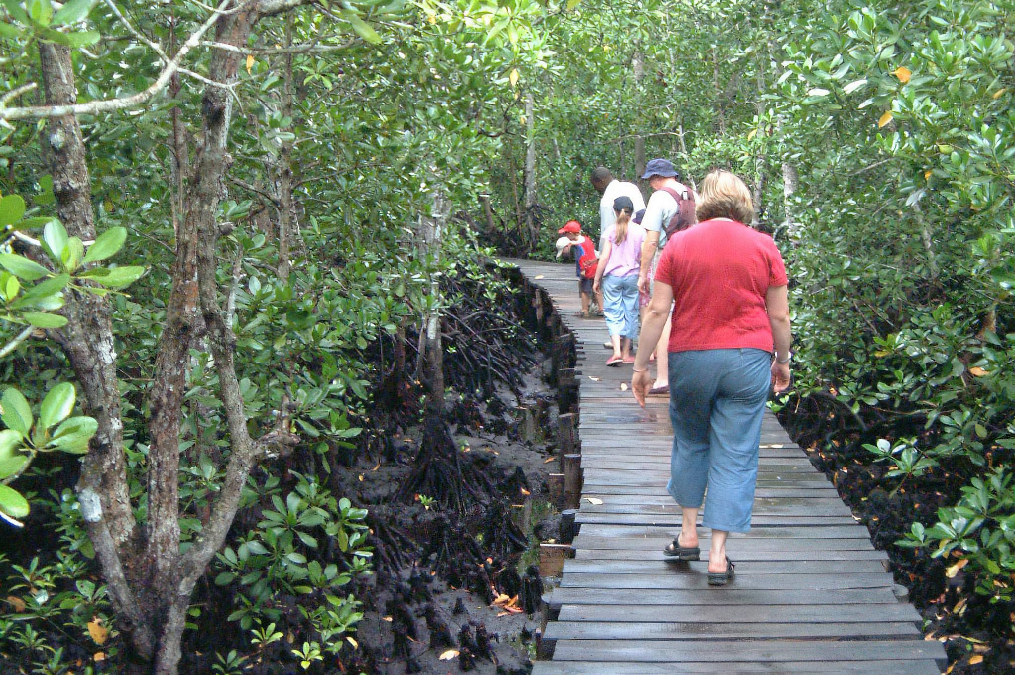 Zanzibar_Jozani_Forest_03