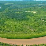 nyerere-safaris